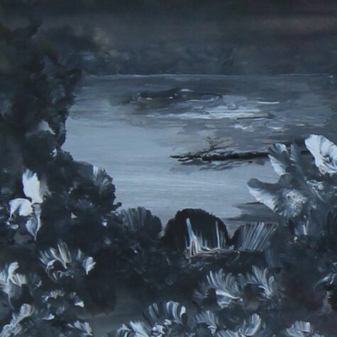 Dark Pond