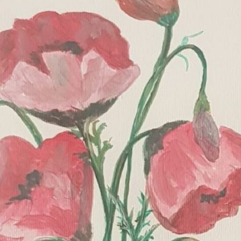 Wild Poppies