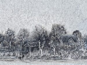 The Boatshed