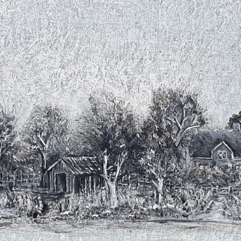 The Boatshed