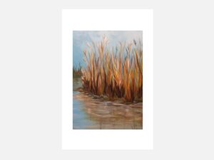 River Reeds