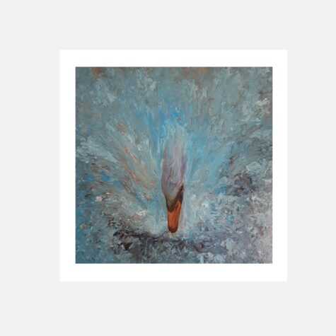 Swan Dive - Print